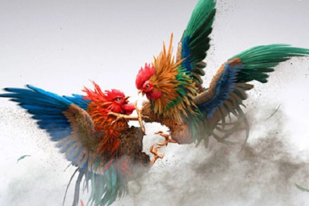 Rút tiền nhanh chóng, an toàn khi tham gia đá gà trực tuyến