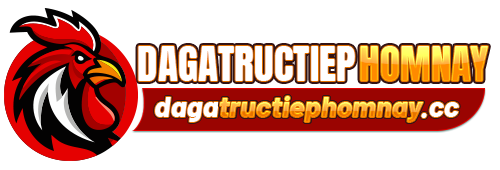 dagatructiephomnaycc